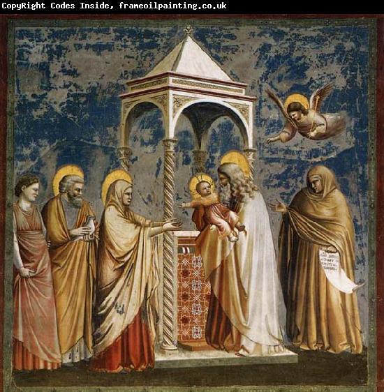 GIOTTO di Bondone Presentation of Christ at the Temple